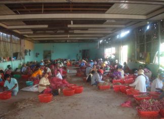 Chương Trình “Đôi Mắt Sáng” Tại Vĩnh Châu (Sóc Trăng)