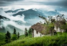 UBPN: Món Quà Bình An