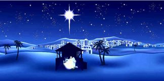 Ánh Sáng Của Cuộc Đời