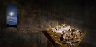 Viết Cho Ngày Mùa Đông