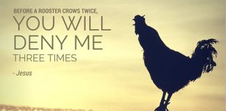 Dưỡng linh – Tiếng Gà Gáy