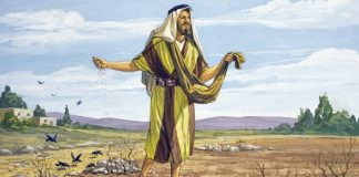 Bài 81: Các Ẩn Dụ Về Nước Thiên Đàng