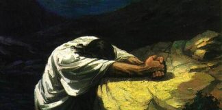 Thơ: Nhớ Về Đêm Ấy