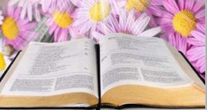 Ngày 17/6/2017: Là Gió hay Lửa?