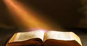 Ngày 19/6/2017: Gieo Gì Gặt Nấy