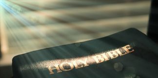 Ngày 18/6/2017: Dù Con Không Hiểu Hết