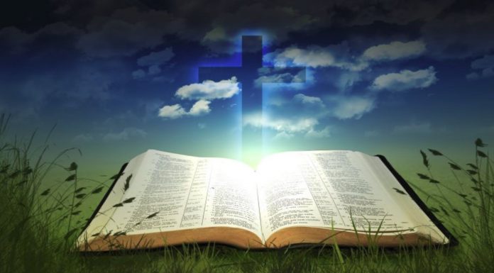 Lời Cảnh Báo Chí Tình – 28/12/2018