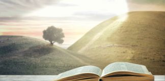 Phá Bỏ Bức Tường Ngăn Cách – 11/9/2017