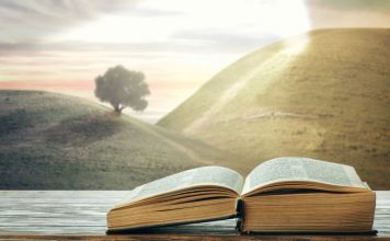 Quyết Định Trở Về Quê Hương – 16/10/2019