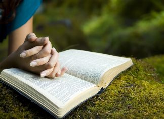 Chỉ Có Thể Là Chúa – 14/7/2018