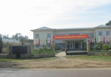 Những Ngày Nắng Hạ