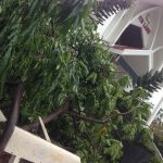 23131576_10208259108354923_8232570184733536541_n