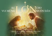 Phông Gợi Ý Lễ Giáng Sinh 2017 (Cập nhật 8/11/2017)