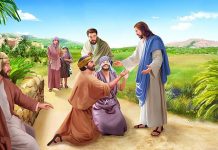 Bài 90: Người Làm Công Vườn Nho, Hai Con Trai Xê-Bê-Đê, Hai Người Mù Được Chữa Lành