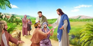 Bài 90: Người Làm Công Vườn Nho, Hai Con Trai Xê-Bê-Đê, Hai Người Mù Được Chữa Lành