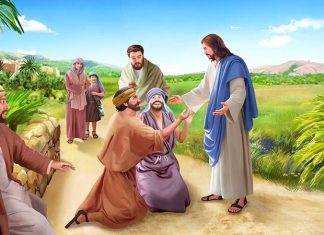 Bài 90: Người Làm Công Vườn Nho, Hai Con Trai Xê-Bê-Đê, Hai Người Mù Được Chữa Lành