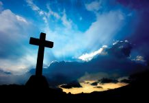 Nhìn Lại và Hướng Tới