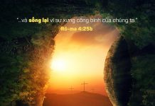 Giới Thiệu Bản Tin Mục Vụ Số 64