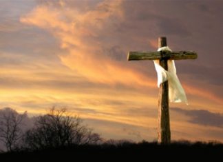 Bài 100: Đối Phó Với Hoạn Nạn, Khổ Đau (tt)