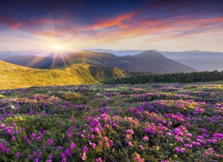 Mơ Xuân Thiên Thượng