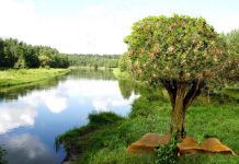 Bài 104: Thế Nào Là Người Được Phước (tt)