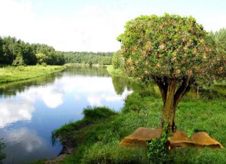 Bài 104: Thế Nào Là Người Được Phước (tt)