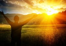 Bài Làm Chứng: Trang Mới