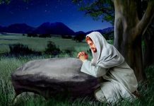 Thơ: Chén Đau Thương