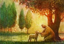 Sự Phong Phú Đáng Kinh Ngạc của Thi Thiên 23