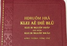 Cảm Tưởng Từ Khi Có Kinh Thánh Tiếng Ê-đê