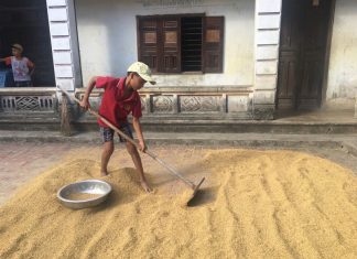 Chông Chênh Đường Đến Lớp