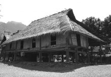 Những câu chuyện cũ: Ánh Sáng Của Tình Yêu Thương