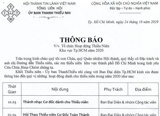 V/v Tổ Chức Hoạt Động Thiếu Niên Khu Vực Tp.HCM Năm 2020