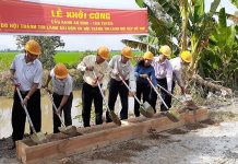 Cây Cầu Nối Bờ Vui