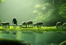 ĐỜI SỐNG THỊNH VƯỢNG MỌI BỀ