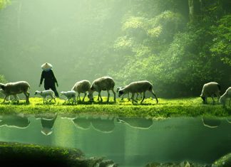 ĐỜI SỐNG THỊNH VƯỢNG MỌI BỀ