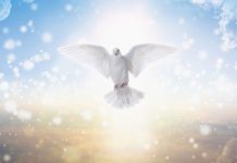 Đức Thánh Linh Làm Gì?