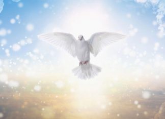 Thơ: Thánh Linh Chúa