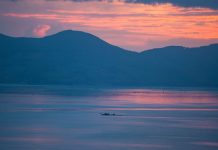 Thơ: Ra Đi Để Về