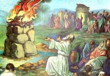 Chúa Có Muốn Nhận Của Lễ Dâng Hiến?