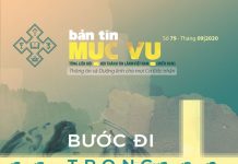 “Bước Đi Trong Sự Sáng” – Bản Tin Mục Vụ Số 79