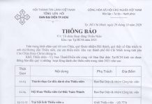 Thông Báo: Các Hoạt Động Thiếu Niên Khu Vực TP.HCM Năm 2021