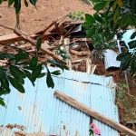 viber_image_2020-10-29_20-41-26