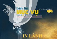 “Tin Lành Từ Trời” – Bản Tin Mục Vụ Số 80