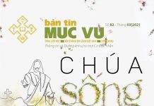 “Chúa Sống Vì Tôi” – Bản Tin Mục Vụ Số 82