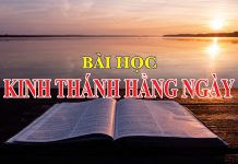 THÔNG BÁO: Về Chuyên Mục “Bài Học Kinh Thánh Hằng Ngày”