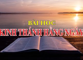 THÔNG BÁO: Về Chuyên Mục “Bài Học Kinh Thánh Hằng Ngày”