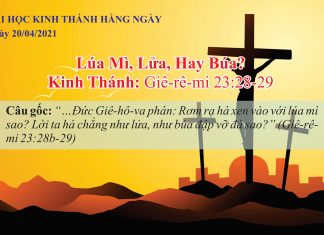 Lúa Mì, Lửa, Hay Búa? – 20/4/2021