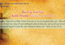 Hai Giỏ Trái Vả – 19/5/2021