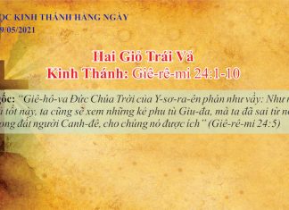 Hai Giỏ Trái Vả – 19/5/2021